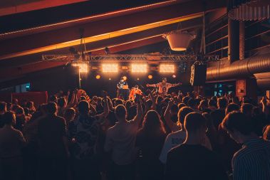 Album: FestUval konsert