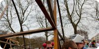 Bild nummer 11101