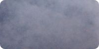 Bild nummer 12156