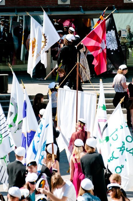 Mösspåtagning vår 2011