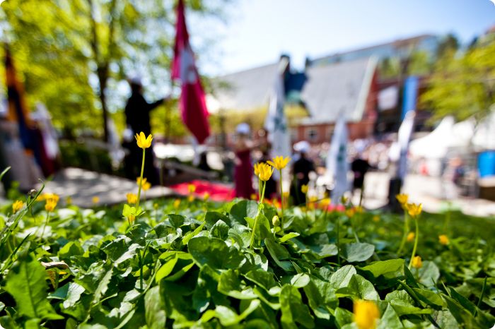 Mösspåtagning vår 2011