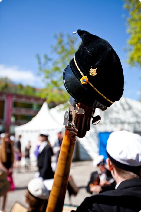 Mösspåtagning vår 2011