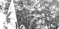 Bild nummer 18951