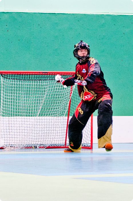 CM i innebandy