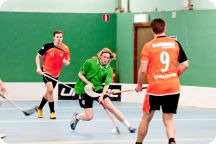 CM i innebandy