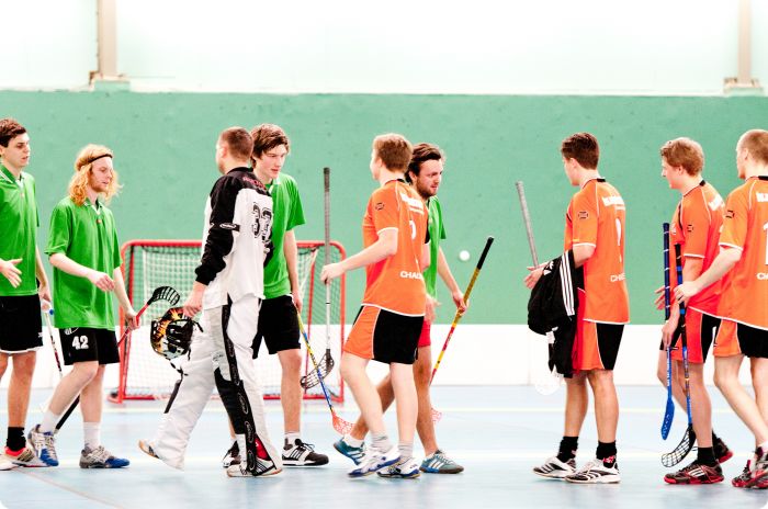 CM i innebandy
