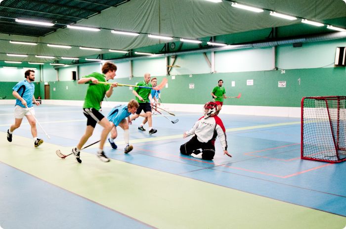 CM i innebandy