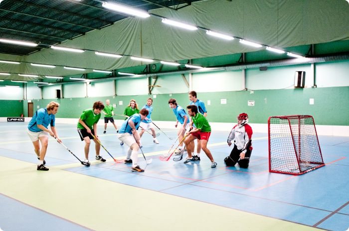 CM i innebandy