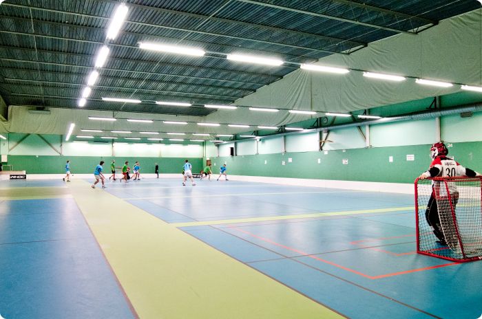CM i innebandy