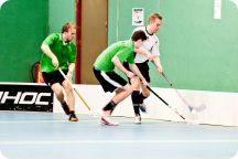 CM i innebandy