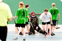 CM i innebandy