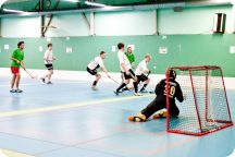 CM i innebandy