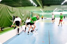 CM i innebandy