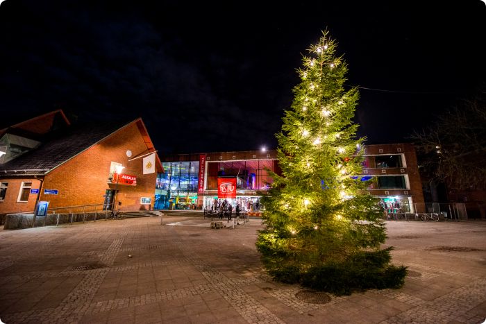 Julkalaset