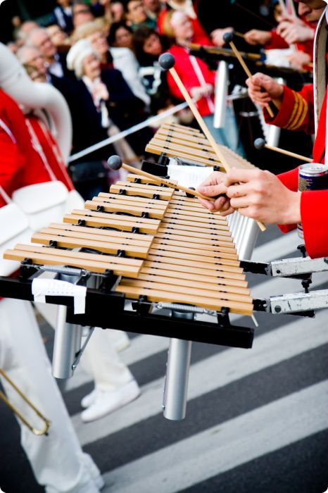 Cortège 2008