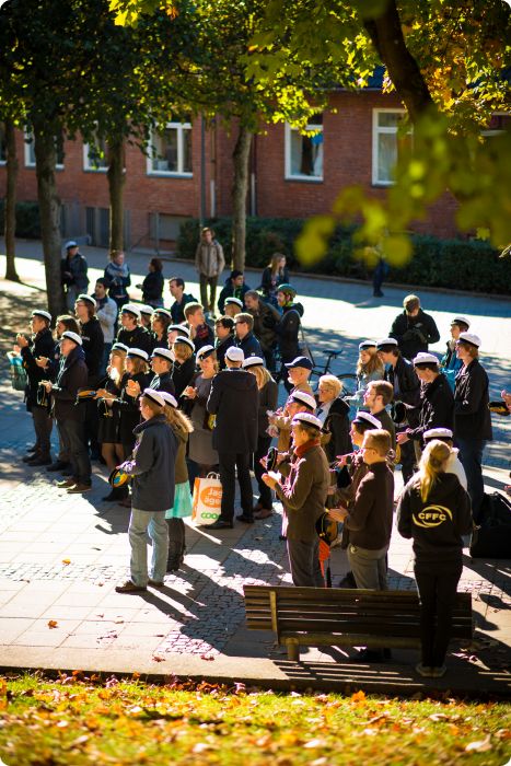 Mösspåtagning