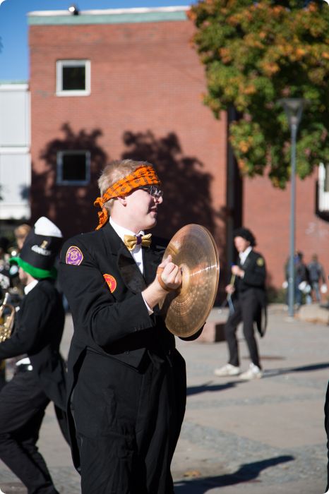 Mösspåtagning