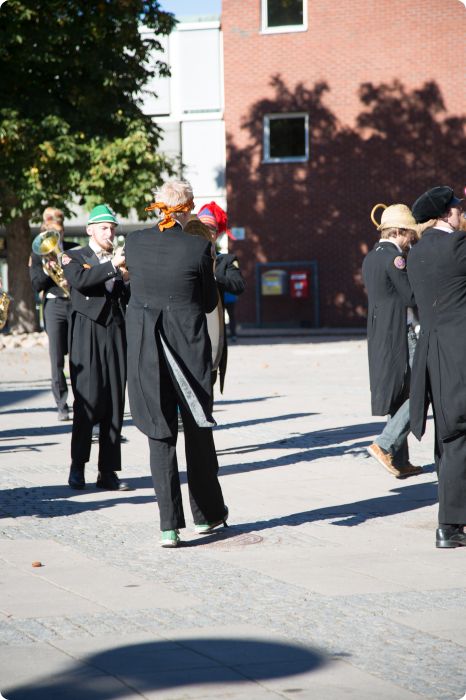 Mösspåtagning