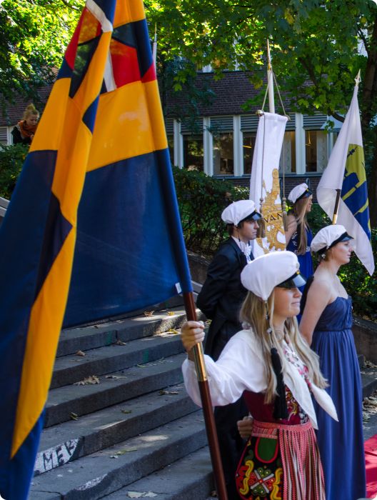 Mösspåtagning