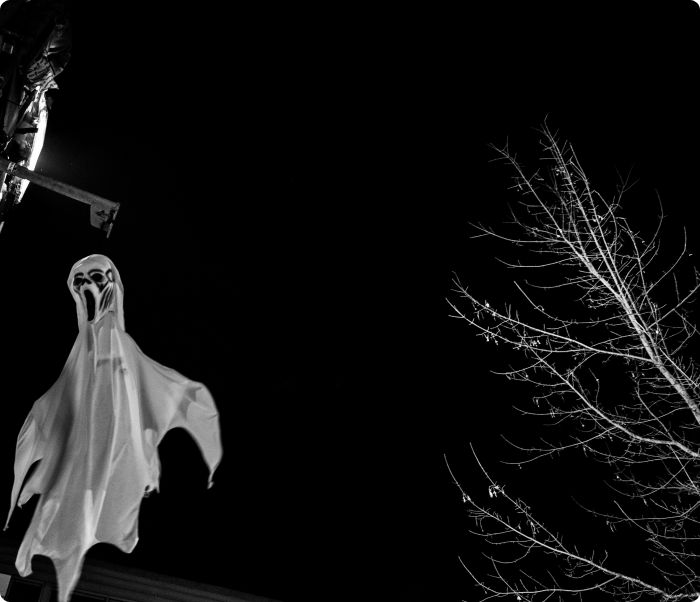 Halloween-Kalaset