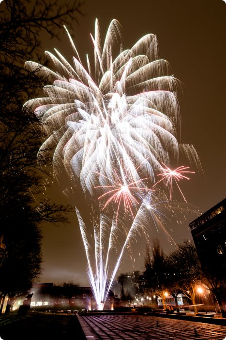 Julkalaset