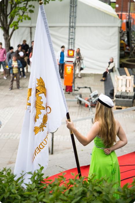 Mösspåtagning