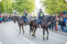 Cortège 2014