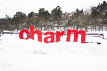 CHARM 2015 Dag 1