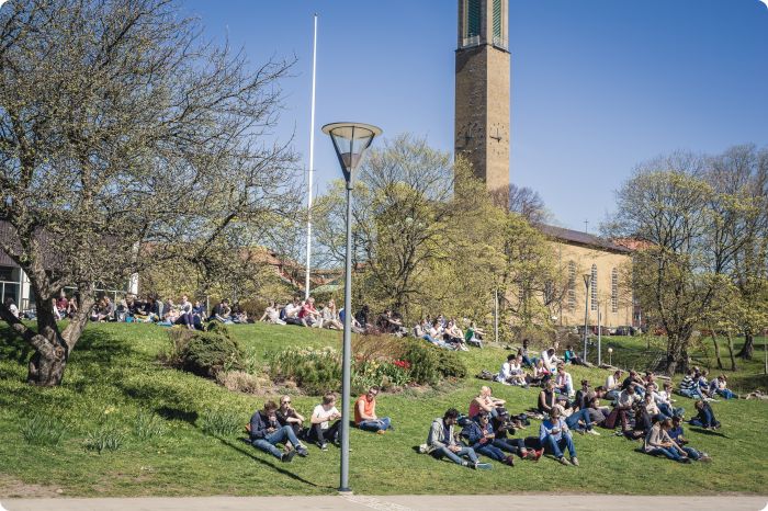 Byggplatsen dag 3