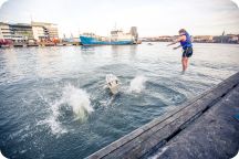 Mottagningskampen: Finalen