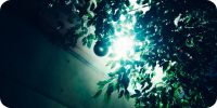 Bild nummer 39114