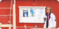 Bild nummer 41006