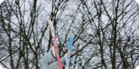 Bild nummer 4325