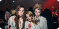 Bild nummer 44895