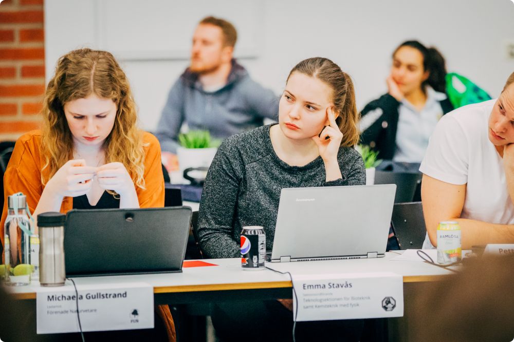 Fullmäktigemöte 6