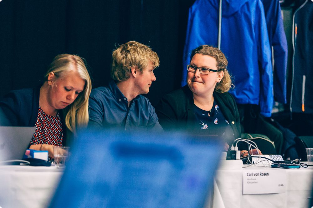 Fullmäktigemöte 8