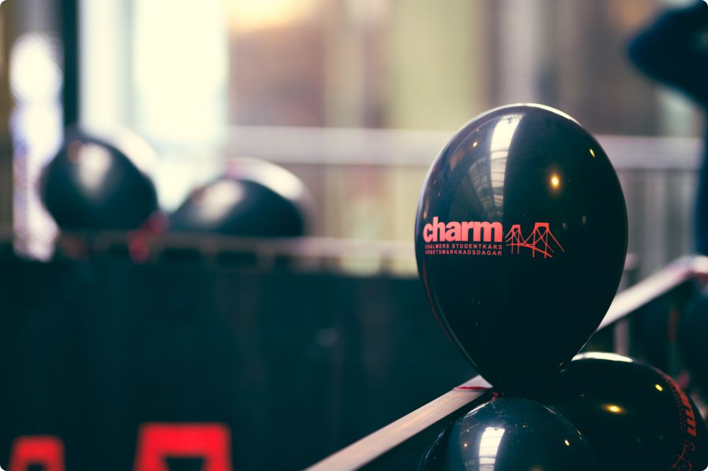 CHARM dag 2