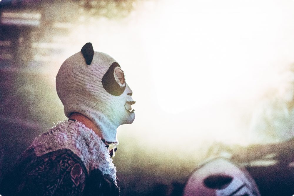 Den Svenska Björnstammen & Panda da Panda