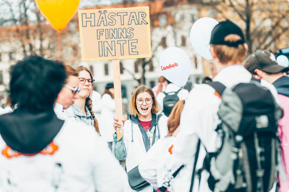 Cortégeprogramsläpp