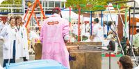 Bild nummer 56086