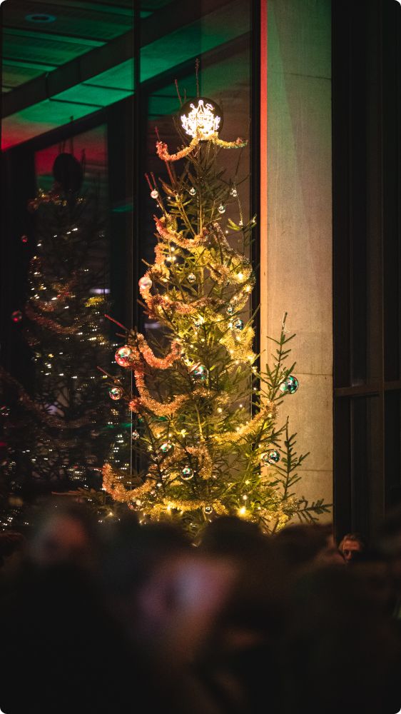 Julkalaset
