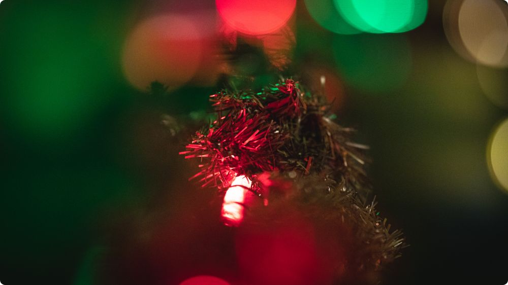 Julkalaset