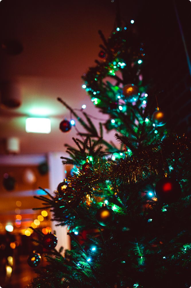 Julkalaset