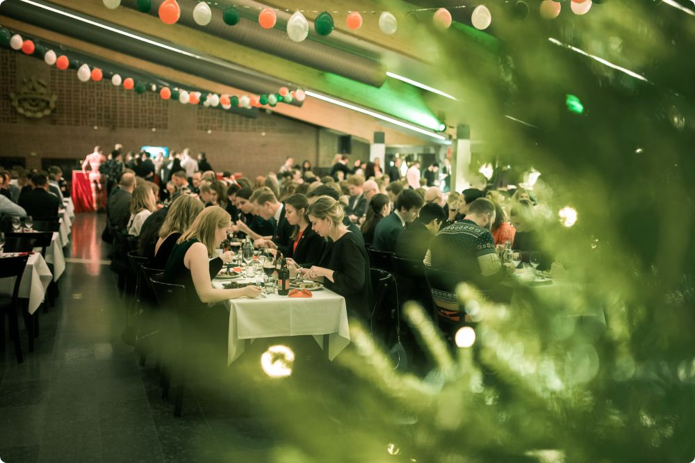 Julkalaset