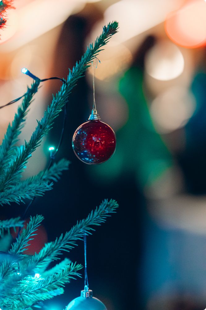 Julkalaset