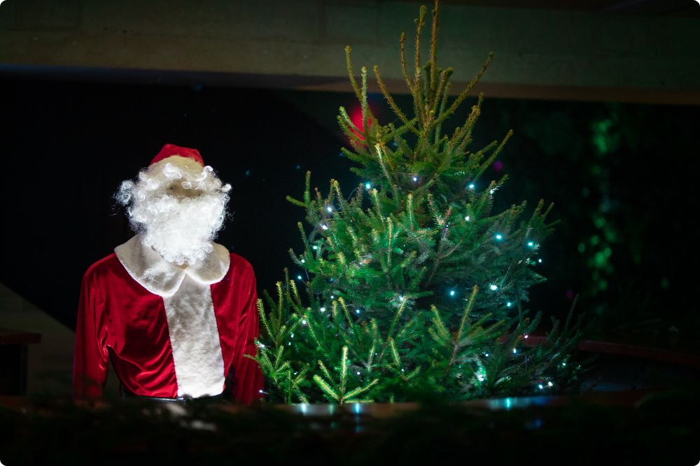 Julkalaset