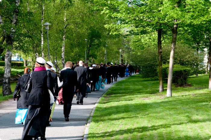 Vårbal