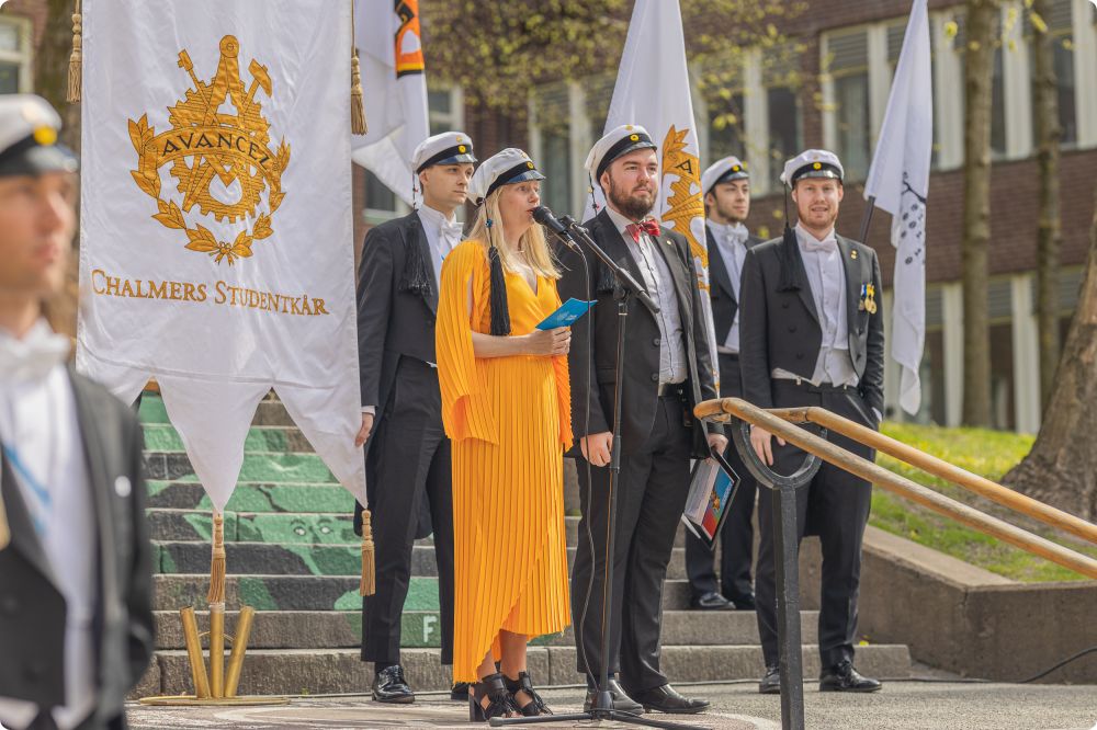 Mösspåtagning