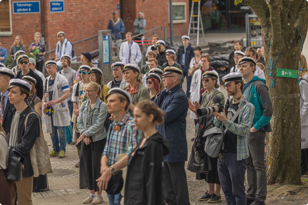 Mösspåtagning