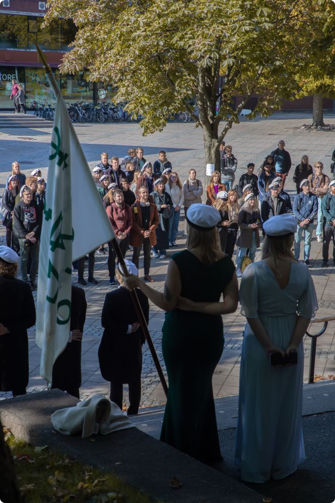 Höstens mösspåtagning